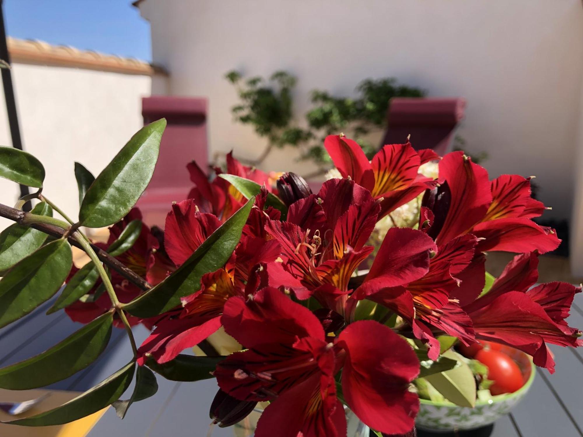 Gites La Catalane Theza Quarto foto